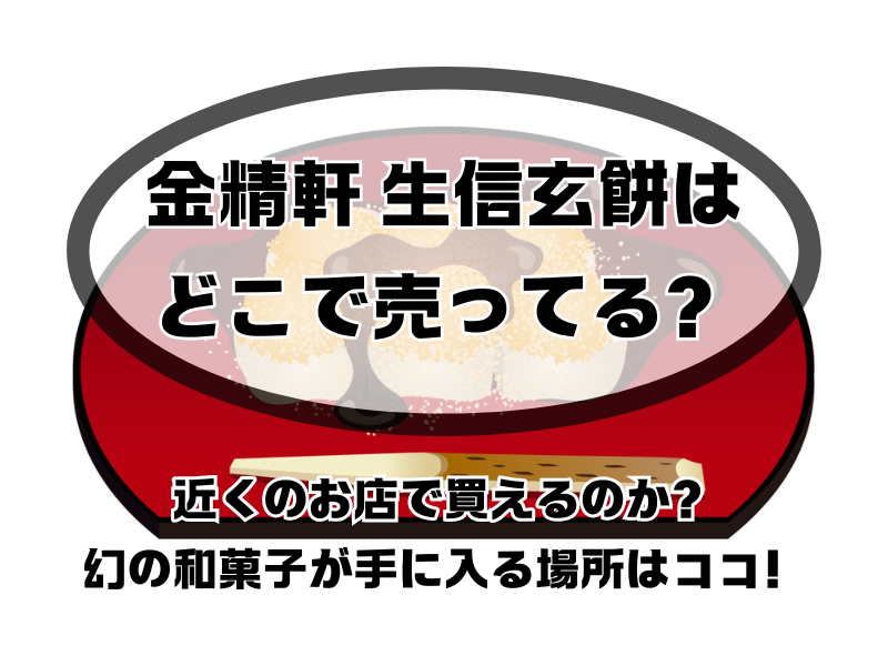 金精軒 生信玄餅 どこで売ってる 254