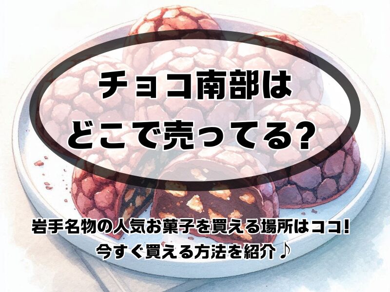 チョコ南部 どこで売ってる 255