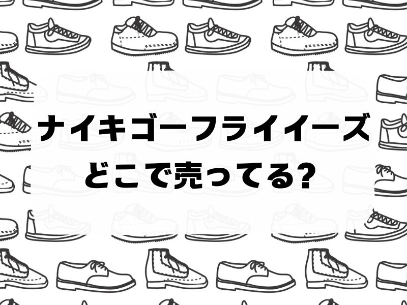 ナイキゴーフライイーズどこで売ってる 256