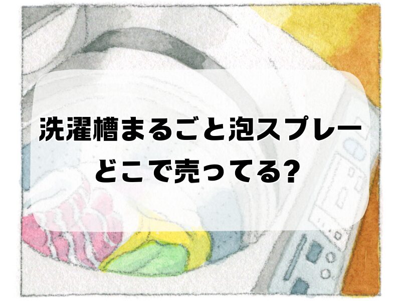 洗濯槽まるごと泡スプレー どこで売ってる 256