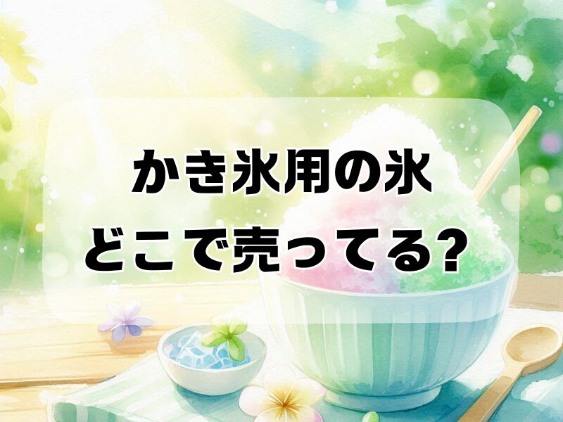 かき氷用の氷 どこで売ってる 257
