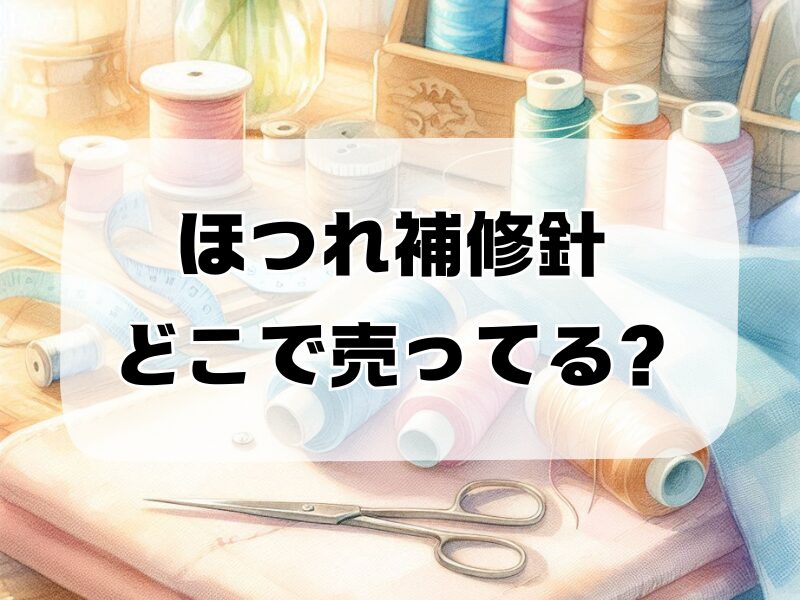 ほつれ補修針 どこで売ってる257