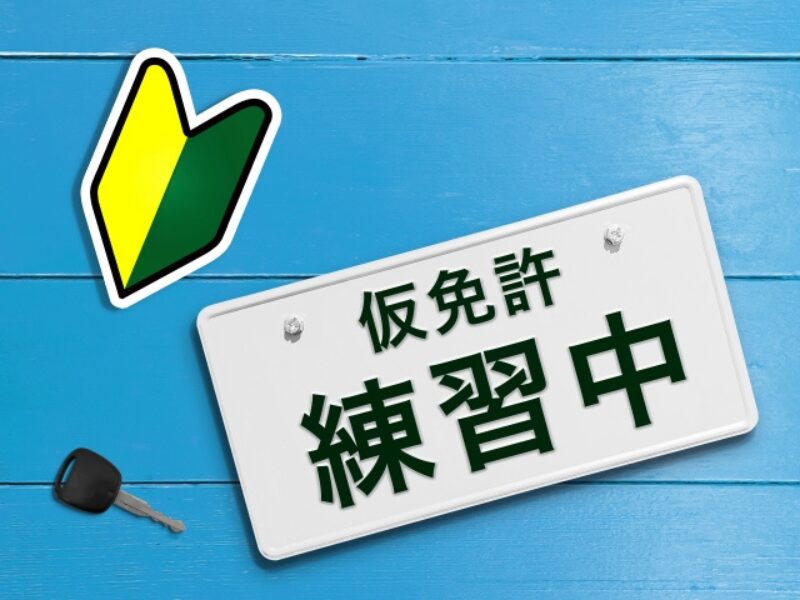 仮免許練習中 プレートどこで売ってる 1