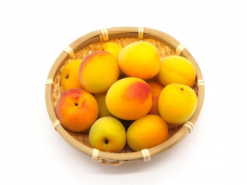 完熟梅 どこで売ってる 1