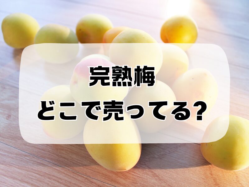 完熟梅 どこで売ってる 257
