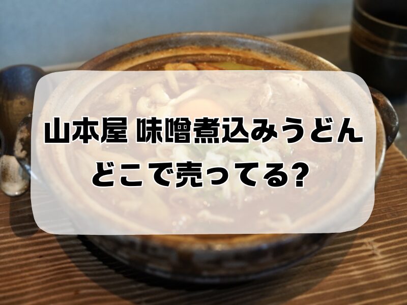 山本屋 味噌煮込みうどん お土産 どこで売ってる 257