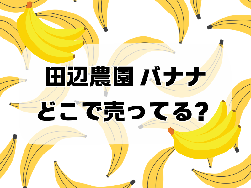 田辺農園 バナナどこで売ってる 258 (13)