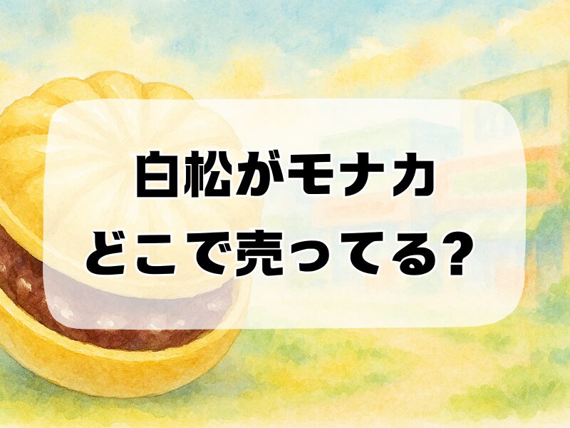 白松がモナカ どこで売ってる 258 (1)