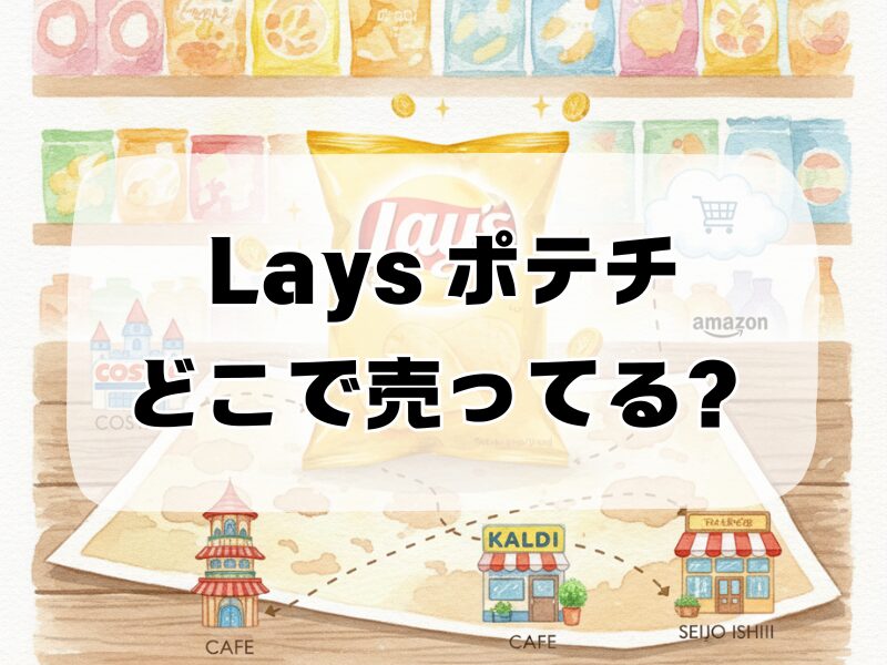 lays ポテチどこで売ってる259 (6)