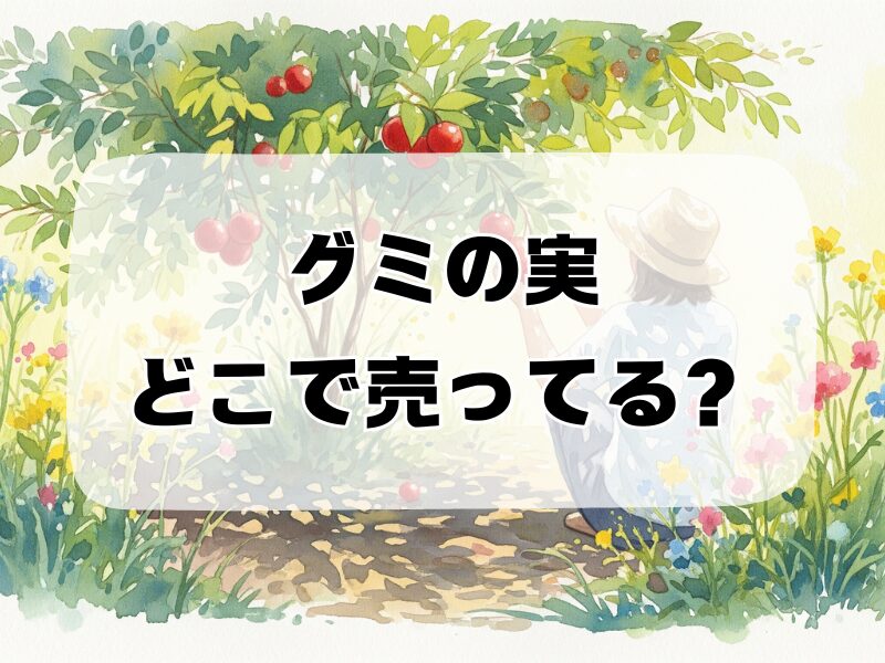 グミの実 どこで売ってる 259 (7)