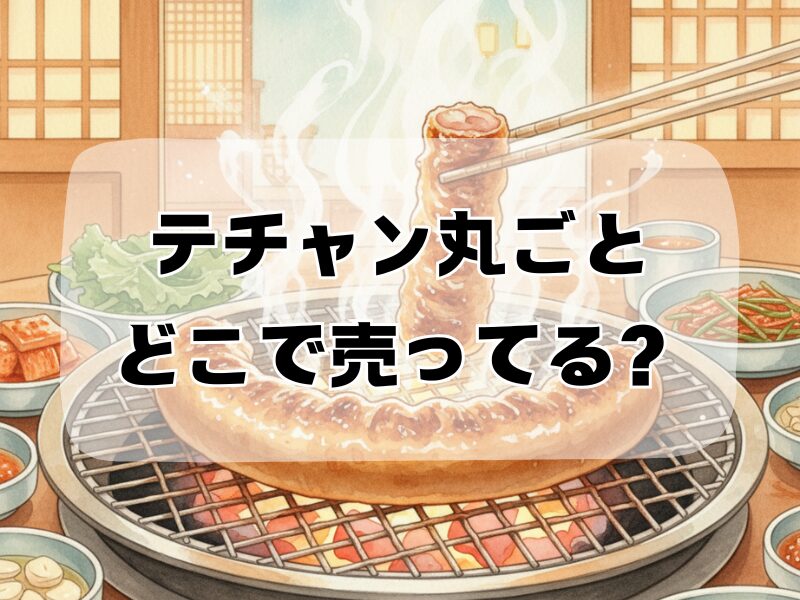 テチャン 丸ごと どこで売ってる259 (12)