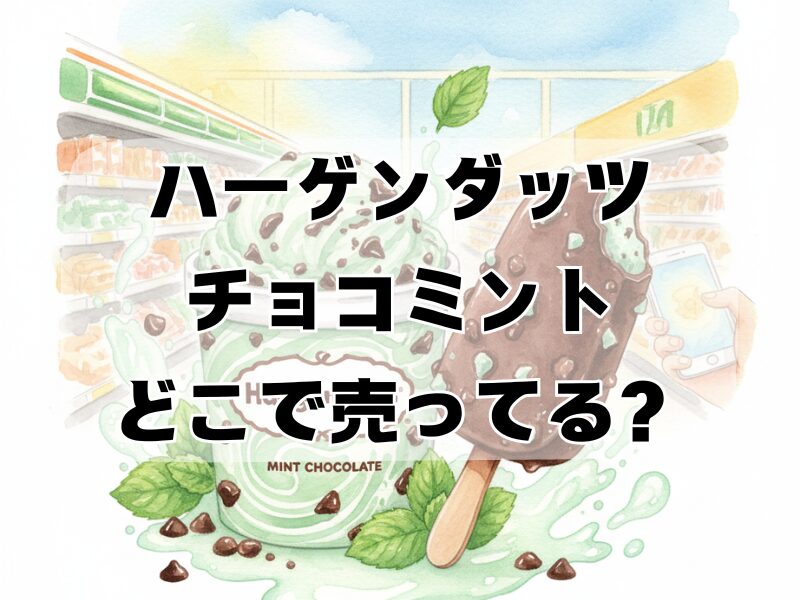 ハーゲンダッツチョコミントどこで売ってる259 (9)