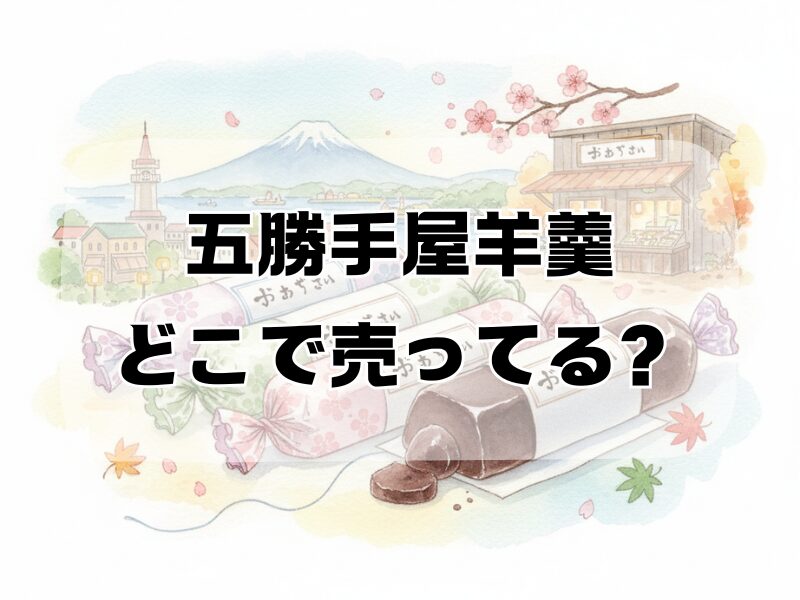五勝手屋羊羹 どこで売ってる259 (8)