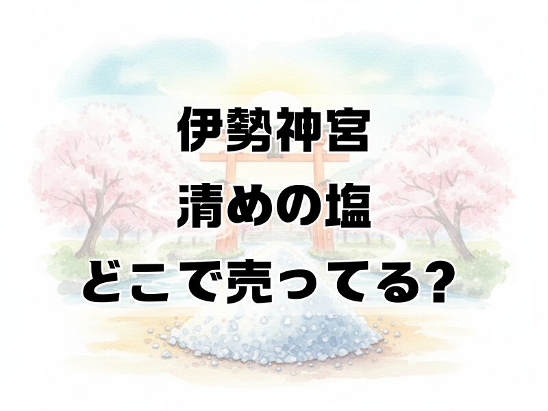 伊勢神宮 塩 どこで売ってる259 (8)