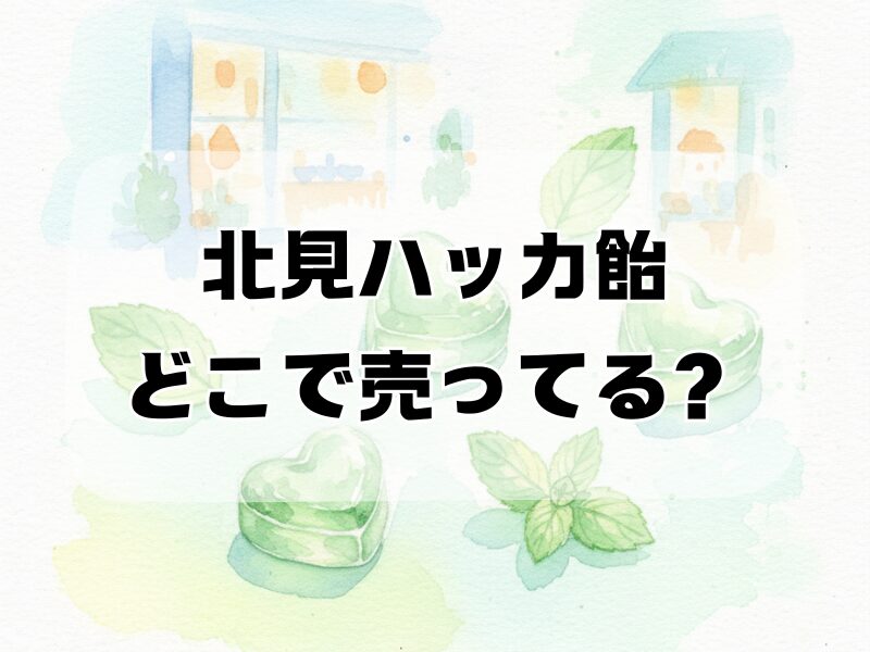 北見ハッカ飴 どこで売ってる259 (8)
