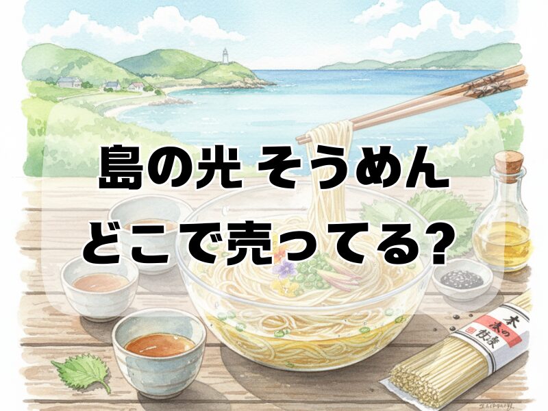 島の光 そうめん どこで売ってる 259 (3)