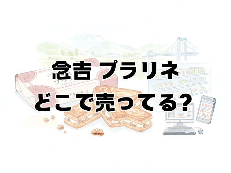 念吉 プラリネ どこで売ってる259 (16)
