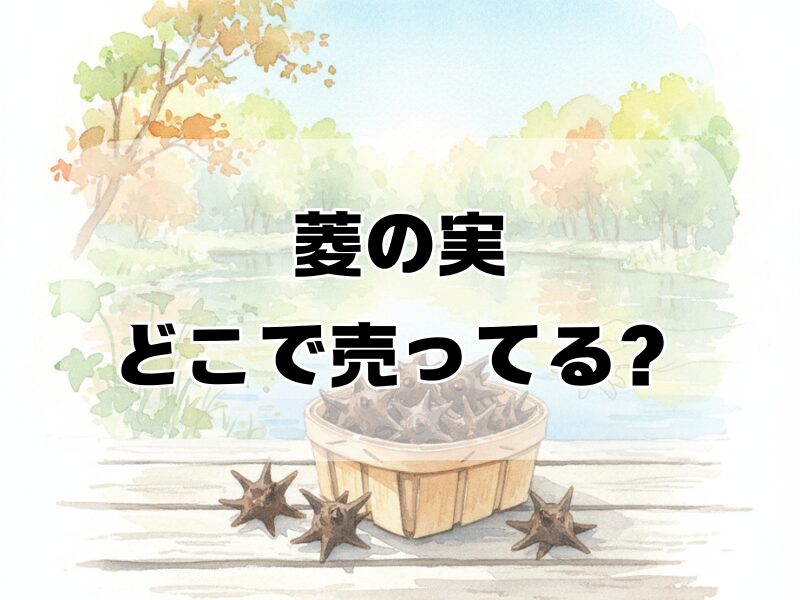 菱の実どこで売ってる259 (1)