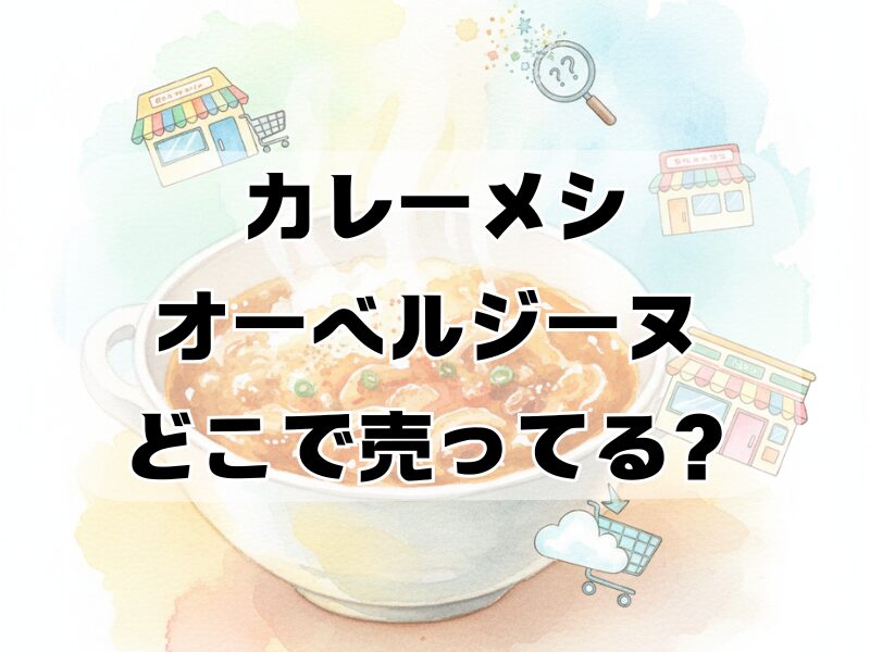カレーメシ オーベルジーヌ どこで売ってる2511 (4)