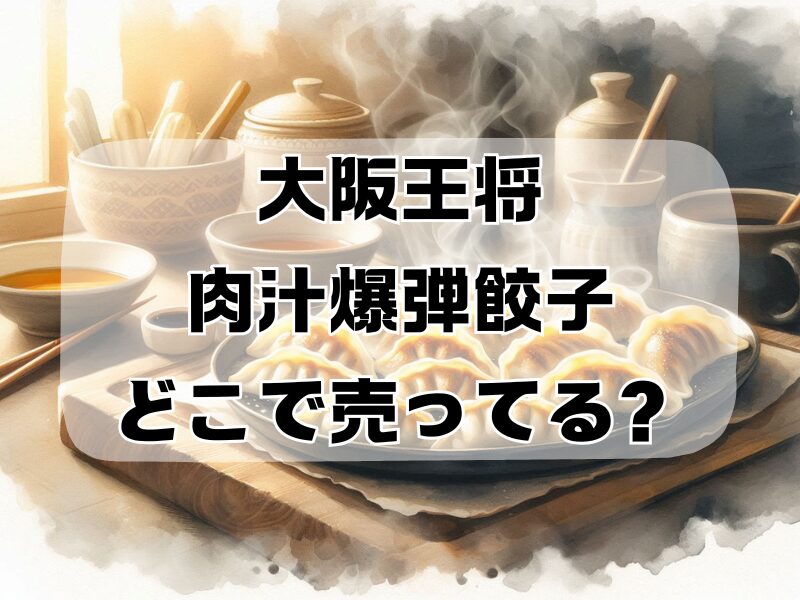 大阪王将 肉汁爆弾餃子 どこで売ってる2511 (4)