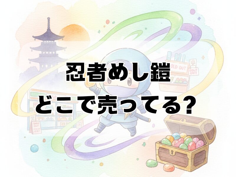 忍者めし鎧どこで売ってる 2511 (1)
