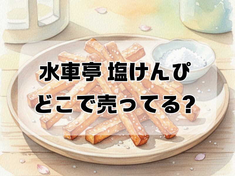 水車亭 塩けんぴ どこで売ってる2511 (1)
