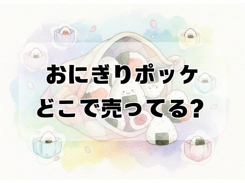 おにぎりポッケ どこで売ってる2412 (4)