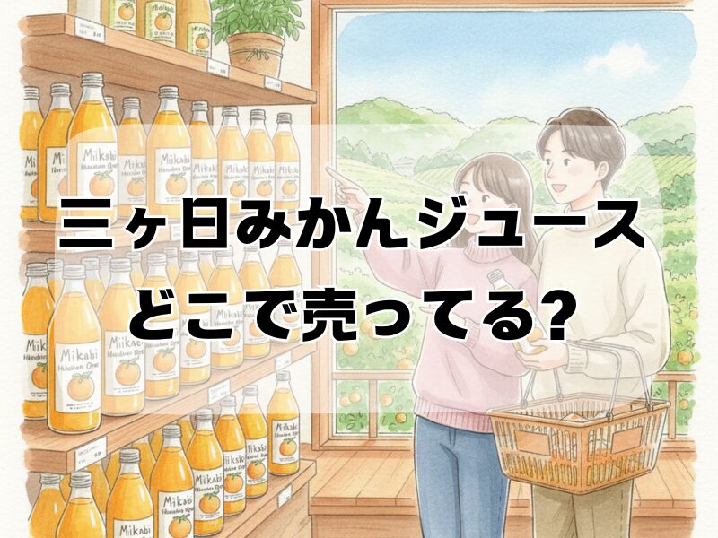 三ヶ日みかんジュース どこで売ってる2512 (13)