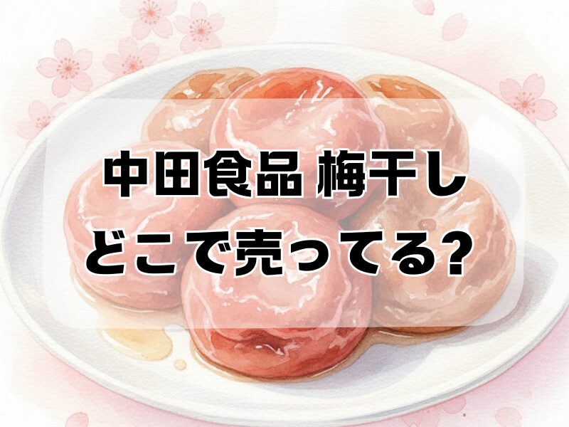 中田食品 梅干し どこで売ってる 2512