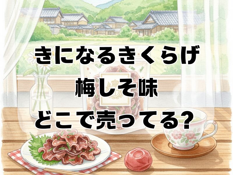 きになるきくらげ 梅しそ味 どこで 売ってる2601 (29)