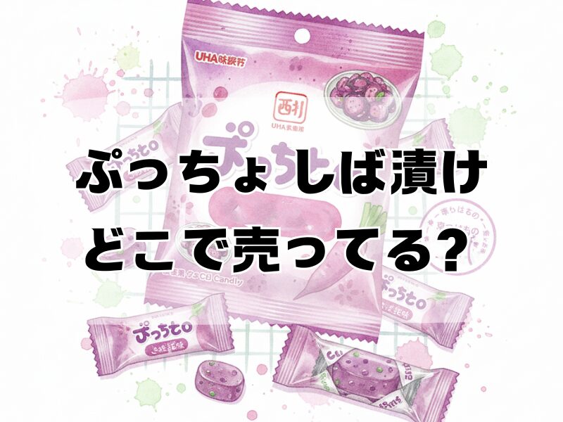 ぷっちょ しば漬け どこで売ってる2601 (10)