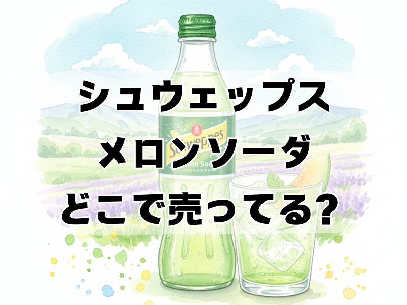 シュウェップス メロンソーダ どこで売ってる2601 (8)