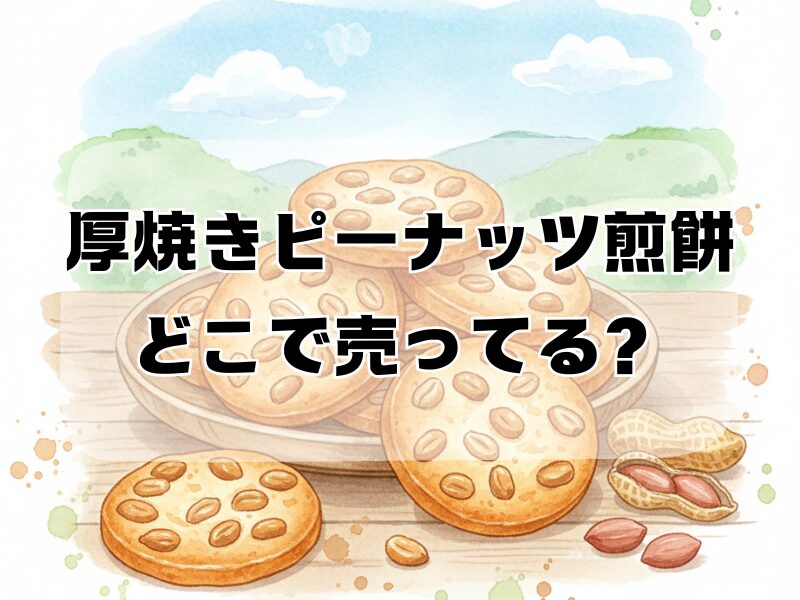 厚焼きピーナッツ煎餅 どこで売ってる2601 (1)