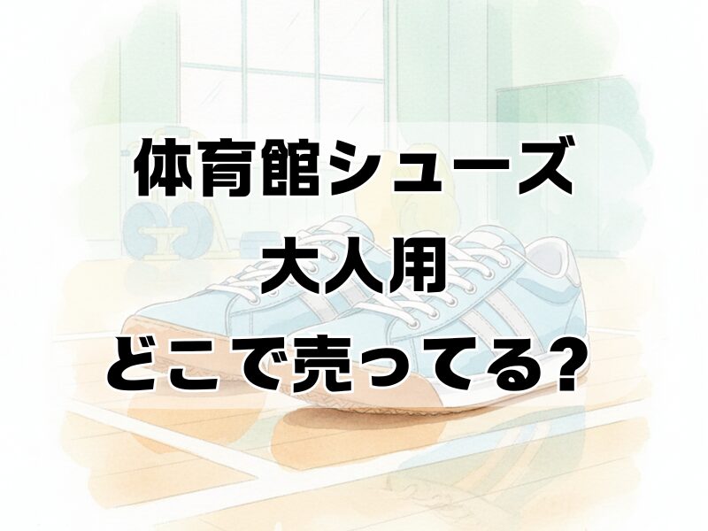 体育館シューズ大人 どこで売ってる