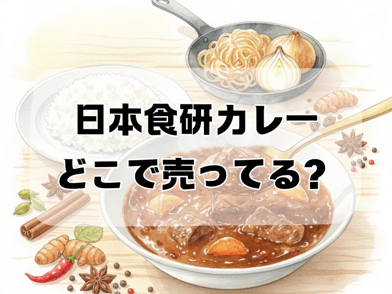 日本食研カレーどこで売ってる