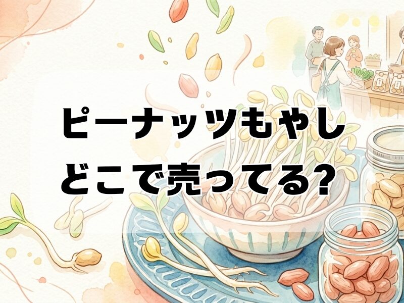 ピーナッツもやし どこで売ってる