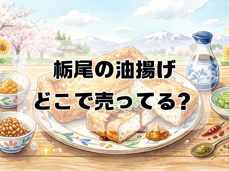栃尾の油揚げ どこで売ってる