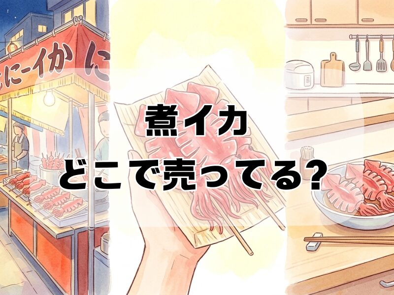 煮イカ どこで売ってる