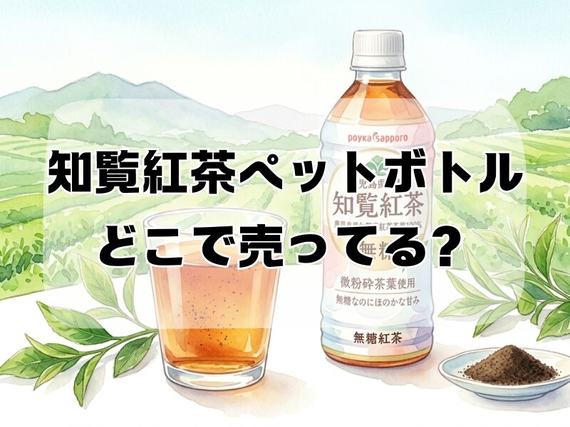 知覧紅茶 どこで売ってる