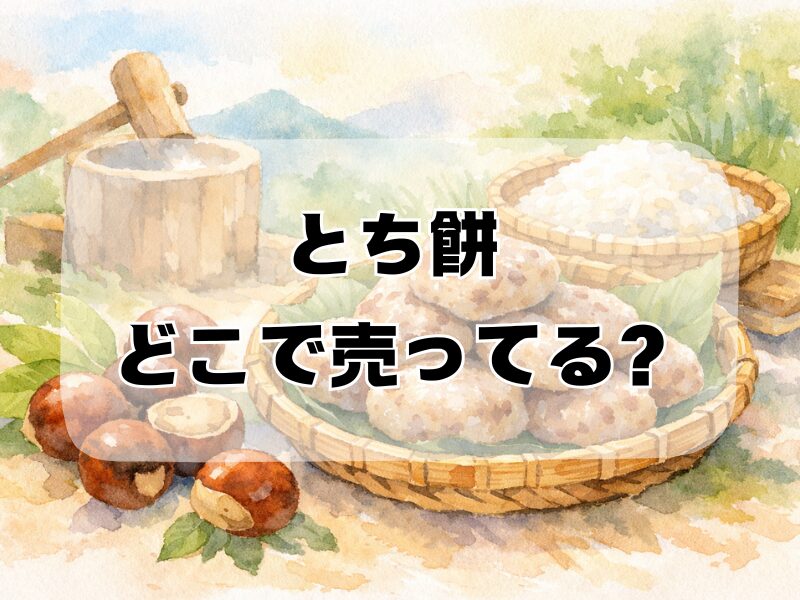 とち餅 どこで売ってる